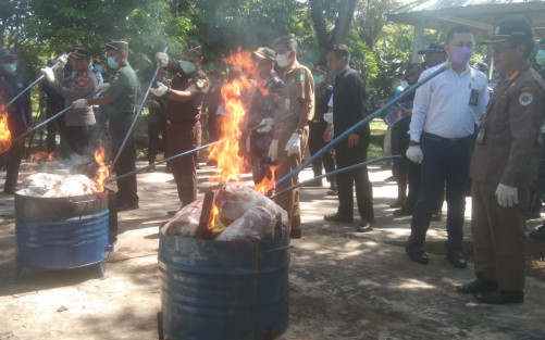 BC Limpahkan Berkas Perkara 41,2 Ton Daging Ilegal ke Jaksa, Pemilik DPO