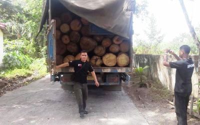 BPHLHK Amankan Dua Truk Kayu Log Diduga Ilegal