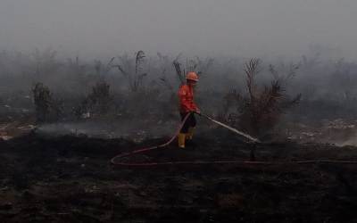 Puluhan Hektar Lahan Gambut Sei Kepayang Terbakar