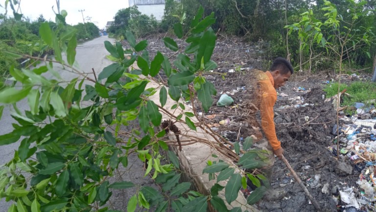 Dinas Perkimtan-LH Hijaukan Area Jalan Nelayan, Puluhan Pohon Ditanam
