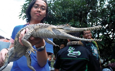 Pameran Reptil dan Festival Kuliner Digelar Di Jakarta