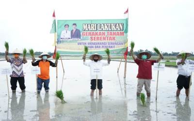 Program Swasembada Pangan, Bupati Asahan Turun ke Sawah