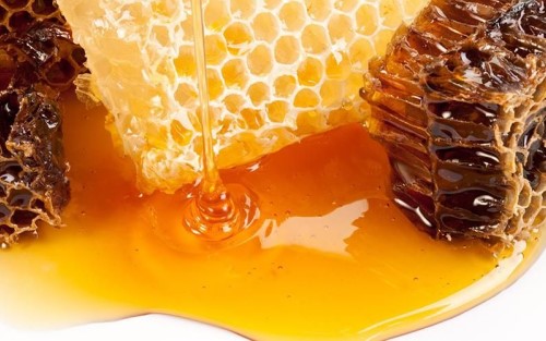 Mengenal Propolis Lebah, Nutrisi dan Manfaatnya