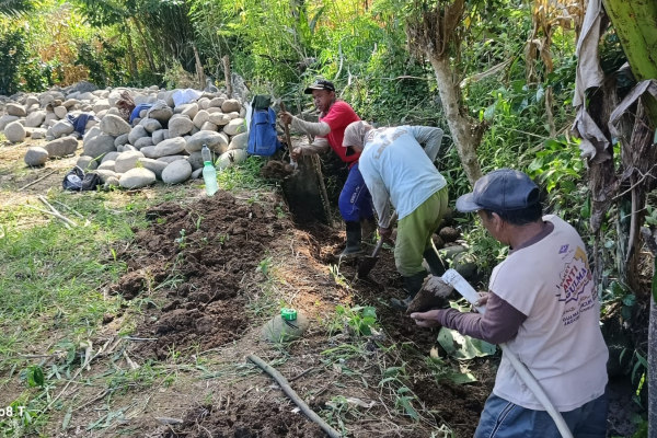 Permudah Mobilisasi Hasil Pertanian, Pemendes Pulau Panggung Bangun Rabat Beton JUT