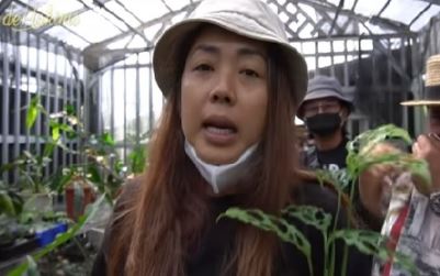 Soimah Melotot Satu Daun Janda Bolong Rp 25 Juta