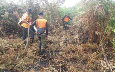 Cagar Biosfer Giam Siak Kecil Kab. Bengkalis Terbakar