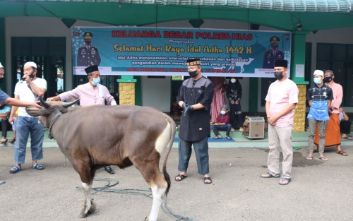 Hari Raya Idul Adha 1442 H, Polres Nias Sembelih Hewan Qurban