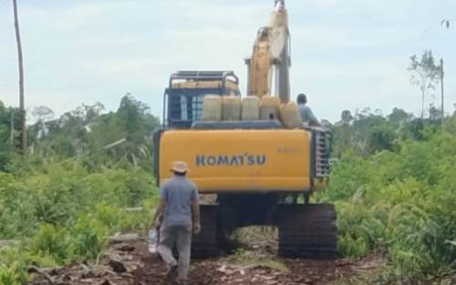 Alat Berat Rambah Hutan Secara Ilegal di Bangko Rohil