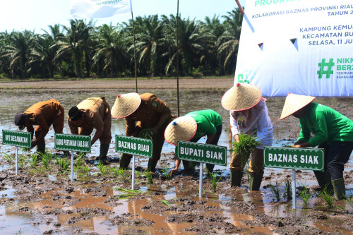 Tingkatkan Ekonomi Mustahik Bidang Pertanian, BAZNAS Siak dan Provinsi Berkolaborasi