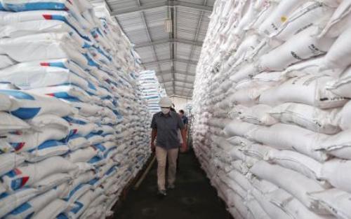 Pasokan Pupuk Indonesia Terancam Akibat Rusia Vs Ukraina