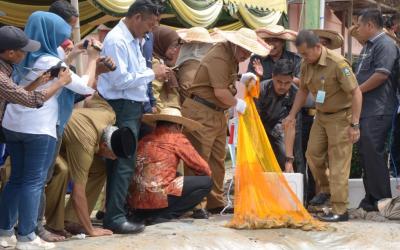 Tebar Jalan, Bupati Bengkalis Panen Perdana Udang Vanname