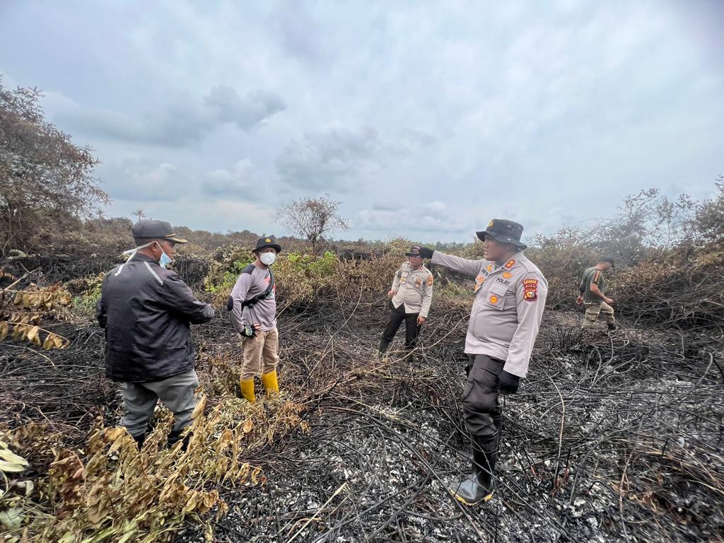 Karhutla di Pulau Merbau, Tim Gabungan Berhasil Padamkan Api