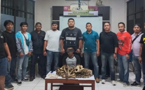 Kesal Ibunya Pernah Diterkam, Warga di Inhu Buru Harimau