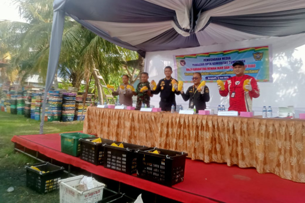 BC Bengkalis Musnahkan 25,9 Ton Mangga Impor Tanpa Dokumen