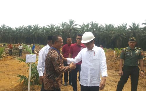 Petani Sawit Riau Desak Jokowi Segera Ganti Mentan dan Menteri LHK