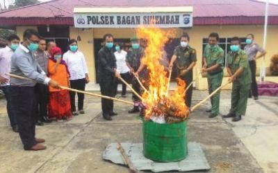 15 KG Ganja Dimusnahkan Polisi di Riau