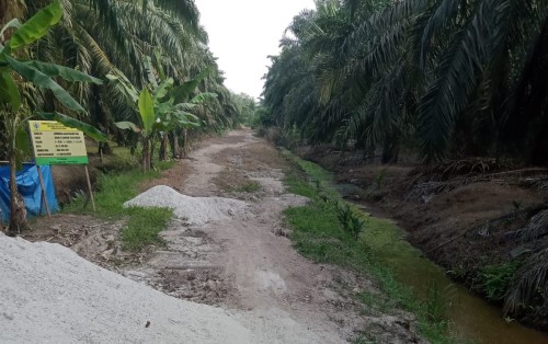 2 Paket Pekerjaan Semenisasi di Teluk Mesjid Tidak Selesai