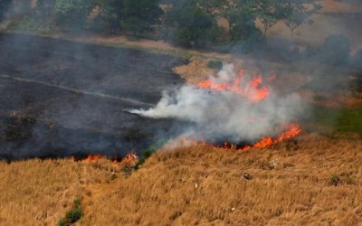 BMKG Deteksi Hotspot di Pelalawan dan Inhu