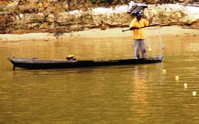 Ikan Lumba-Lumba Mati Tersangkut Jaring di Teluk Meranti