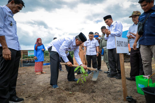 Tanam Pohon Cara Mewariskan Alam Untuk Anak Cucu Kelak