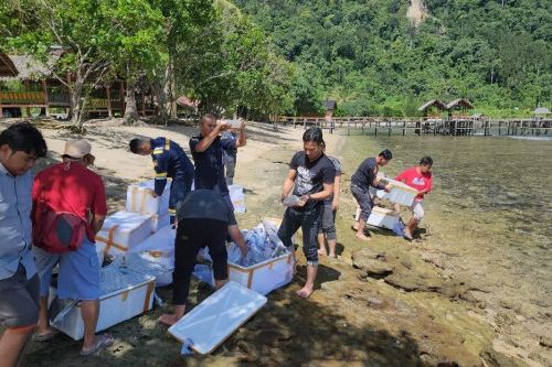 Benih Lobster Senilai Rp 14 Miliar Diamankan Polres Inhil, Pemiliknya Kabur