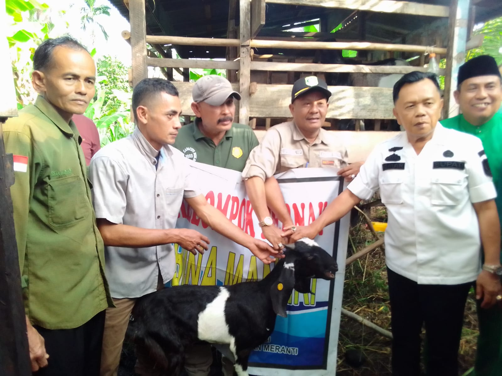 Pemkab Kepulauan Meranti Salurkan Bantuan 50 Ternak Kambing