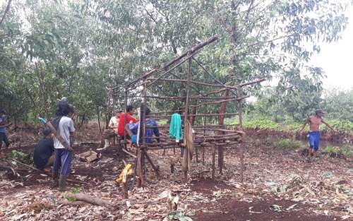 Penjarangan di Lahan Tora, Zamri Sebut Penyerobotan Lahan