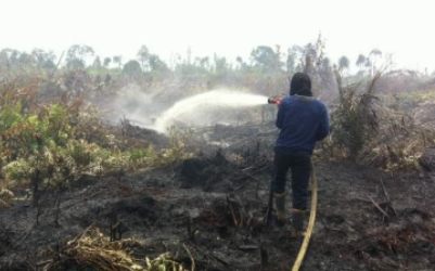 Karlahut di Riau Rusak Sektor Ekonomi