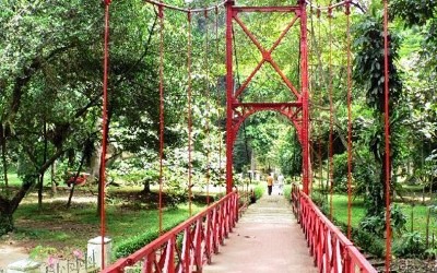 Angin Kencang, Kebun Raya Bogor Ditutup Sementara