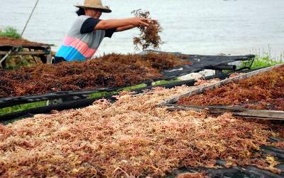 Pemprov Diminta Serius Kelola Potensi Laut Banten