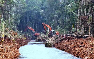 [RILIS] HTI dan Kebun Sawit di Lahan Gambut Rubah Iklim