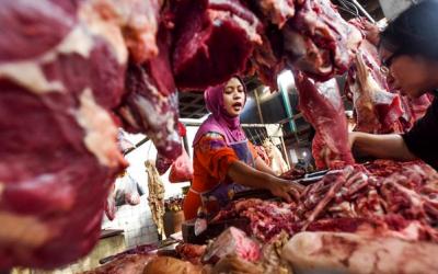 Mogoknya Pedagang Sapi Tak Pengaruhi Stok Daging Pekanbaru