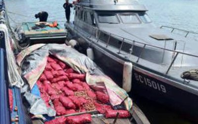 12 Ton Bawang Ilegal Asal Malaysia Diamankan Bea Cukai