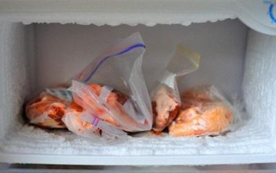 Disimpan Ayam Dalam Freezer Lebih Sehat Dikonsumsi