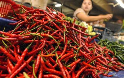 Pasca Lebaran Idul Adha, Harga Cabe Turun