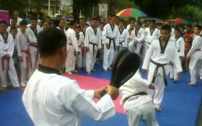 Pekanbaru Tuan Rumah Kejuaraan Internasional Taekwondo