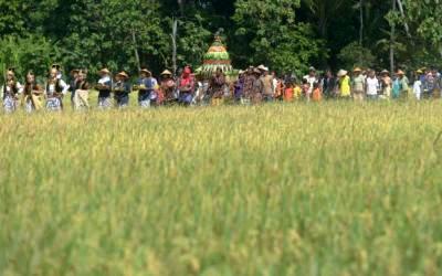 Festival Seribu Baling-baling 'Sewu Ketitiran' di Bantul