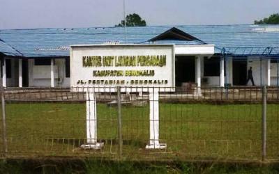 ULP Belum Satupun Umumkan Pemenang Paket Fisik