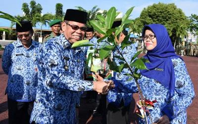 Siak Kecil Juara Lomba Kota Bersih dan Sehat se Kabupaten Bengkalis