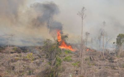 8 Titik Api Terdeteksi di Kabupaten Bengkalis