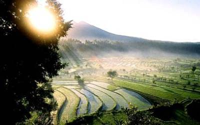 Buleleng Potensi Wisata di Utara Bali yang Terlupakan