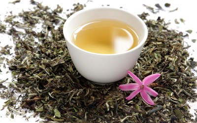 Tahukan Kamu White Tea Mengandung Antioksidan Tinggi