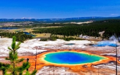 Wisata ke Sumber Mata Air Panas di Yellowstone 1 Pria Tewas