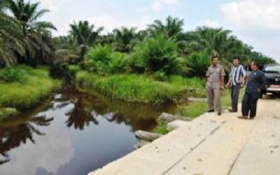 DAS di Perkebunan Sawit Kampar Disorot