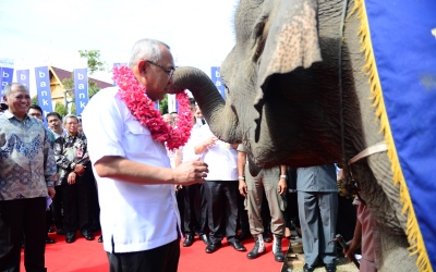 Gajah Meriahkan Pembukaan Expo HAKI 2016