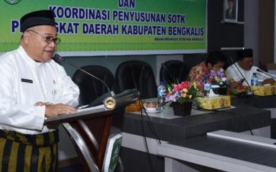 Dirjen Otda Narasumber Sosialisasi PP 18/2016