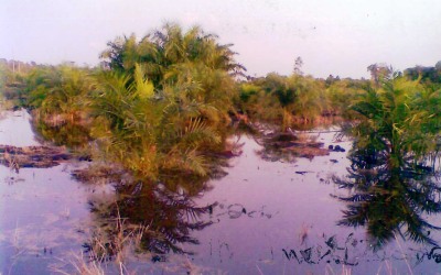 Kisruh Kebun Plasma, Warga Pakning Minta Martias Turun Tangan