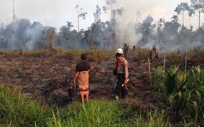 74 Desa Rawan Karlahut di Kabupaten Bengkalis