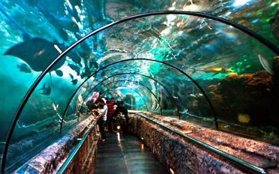 Lebaran, Wisata Wahana Seaworld Ancol Kembali Dibuka