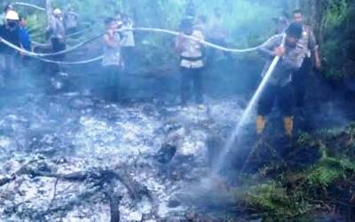 Karlahut Pulau Muda, Teluk Meranti Terus Meluas